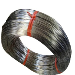bs en 10270-3 304s31 wire supplier